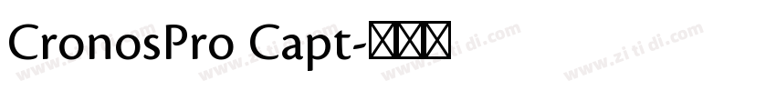 CronosPro Capt字体转换